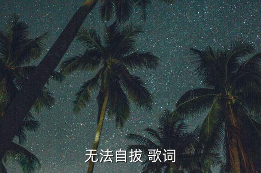 无法自拔 歌词