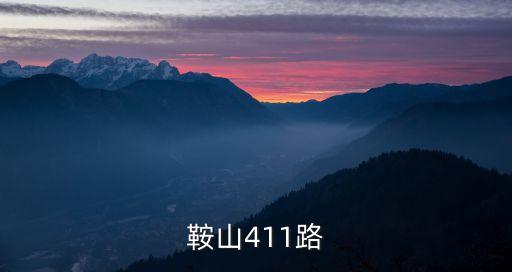 鞍山411路