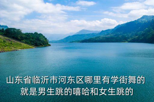 山东省临沂市河东区哪里有学街舞的 就是男生跳的嘻哈和女生跳的