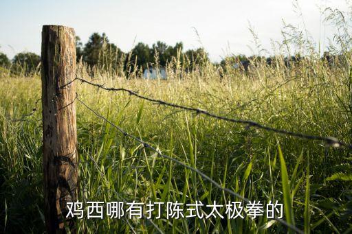鸡西哪有打陈式太极拳的