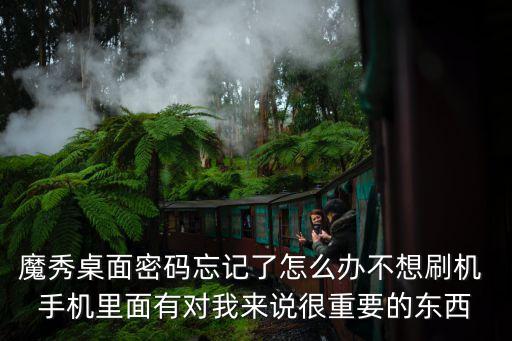 魔秀桌面密码忘记了怎么办不想刷机 手机里面有对我来说很重要的东西