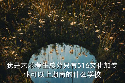 我是艺术考生总分只有516文化加专业可以上湖南的什么学校