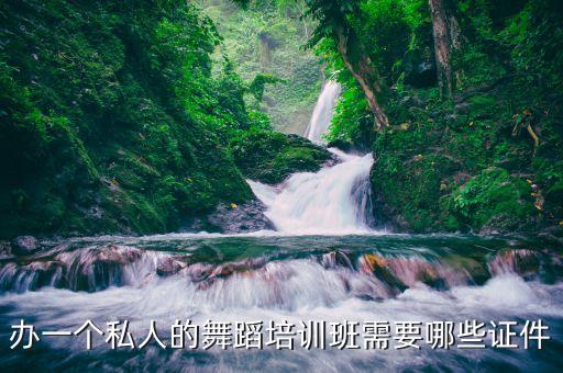 办一个私人的舞蹈培训班需要哪些证件