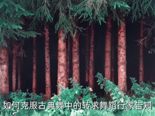 如何克服古典舞中的转求舞蹈行家告知