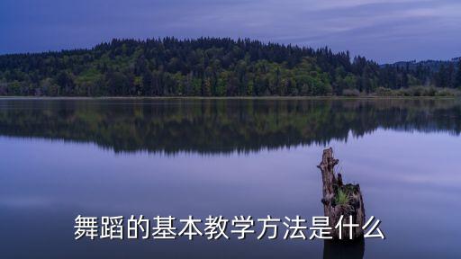 舞蹈的基本教学方法是什么