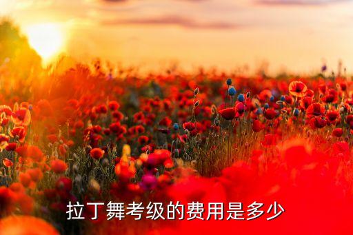拉丁舞考牌费用多少钱，少儿拉丁舞考级银牌多少钱