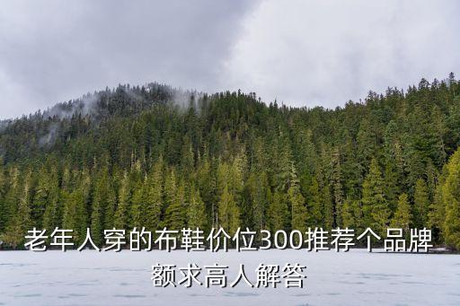 老年人穿的布鞋价位300推荐个品牌额求高人解答