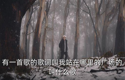 有一首歌的歌词叫我站在哪里的广场的叫什么歌