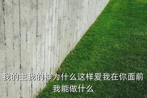 我的主我的神为什么这样爱我在你面前我能做什么