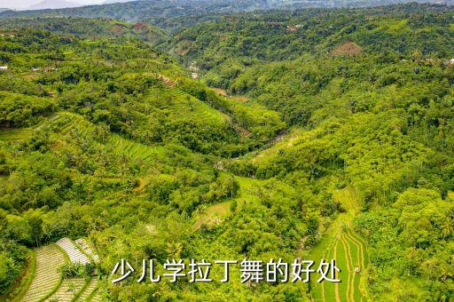 少儿拉丁是什么意思，拉丁的好处是什么大概学多久能成型呢