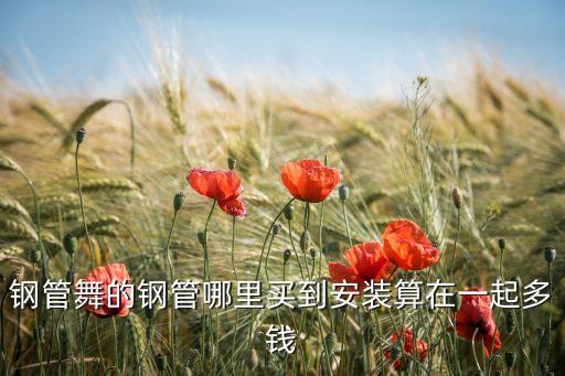 钢管舞的钢管哪里买到安装算在一起多钱