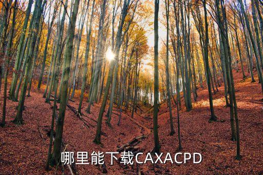 哪里能下载CAXACPD