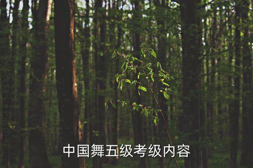 中国舞五级考级内容