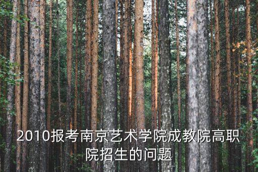 2010报考南京艺术学院成教院高职院招生的问题