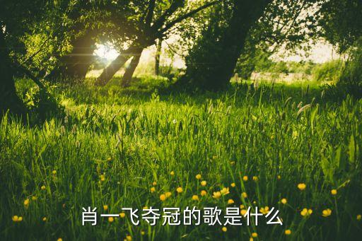 舞蹈吧陶醉吧是什么歌，谁有贾乃高唱的冰与火的青青的片尾曲