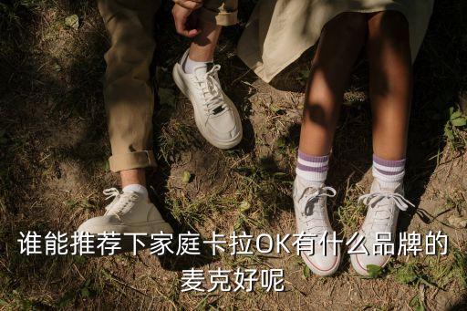 谁能推荐下家庭卡拉OK有什么品牌的麦克好呢