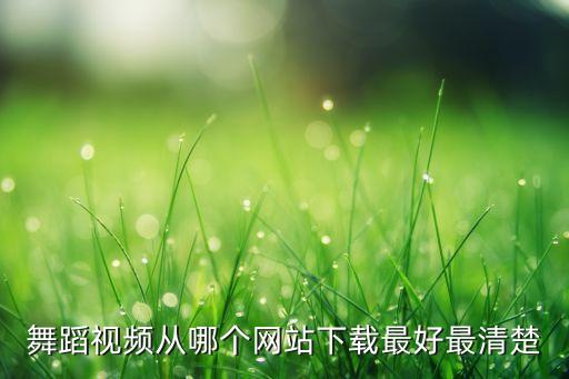 舞蹈视频从哪个网站下载最好最清楚