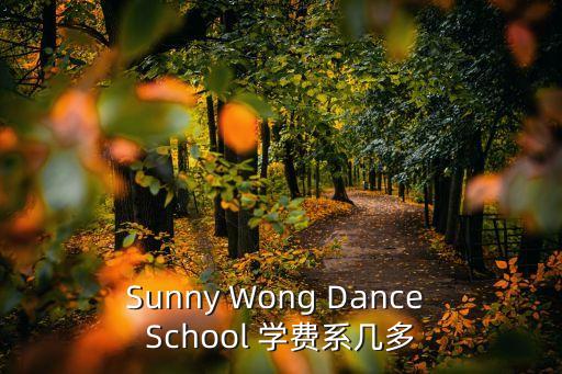 Sunny Wong Dance School 学费系几多