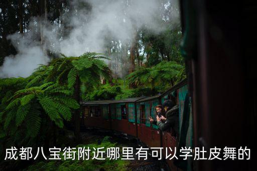 成都八宝街附近哪里有可以学肚皮舞的