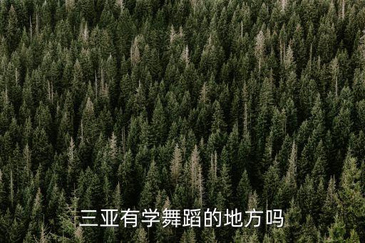 三亚有学舞蹈的地方吗