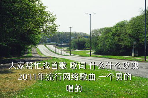 大家帮忙找首歌 歌词 什么什么玫瑰 2011年流行网络歌曲 一个男的唱的