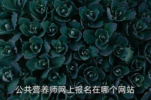 公共营养师资格证报考官网入口，公共营养师网上报名在哪个网站