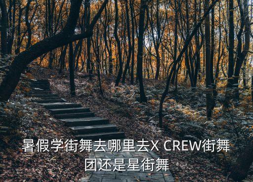 北京星舞团在那好吗学费多少，北京星舞团费用贵么我想学啊 在那里有分店 可不可以便宜