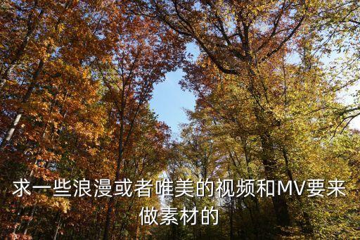 求一些浪漫或者唯美的视频和MV要来做素材的
