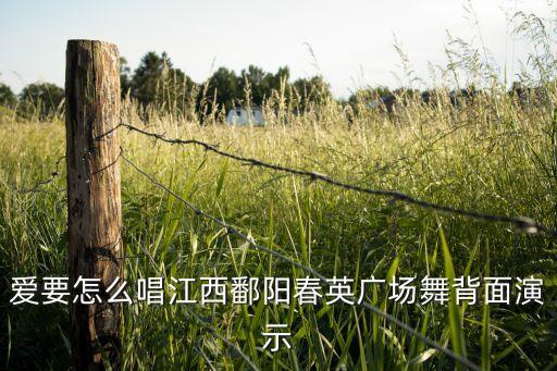 爱要怎么唱广场舞分解动作，青馨明月广场舞 爱要怎么唱