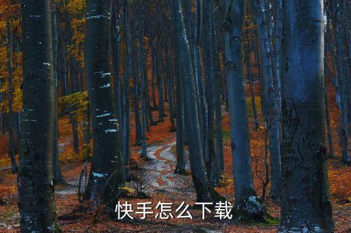 官方快手免费下载，怎么下载快手