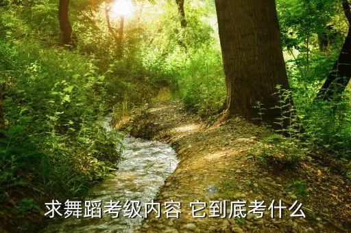 求舞蹈考级内容 它到底考什么