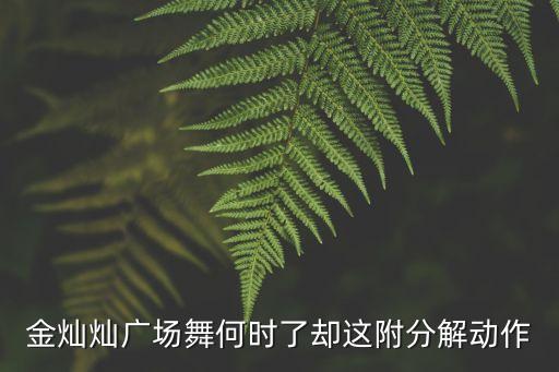如何了却这牵挂广场舞，看过张小娴小说流波上的舞的进来