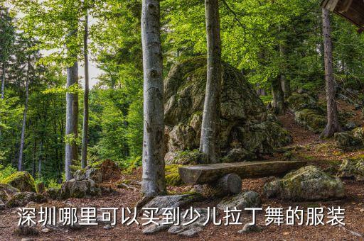 深圳哪里可以买到少儿拉丁舞的服装