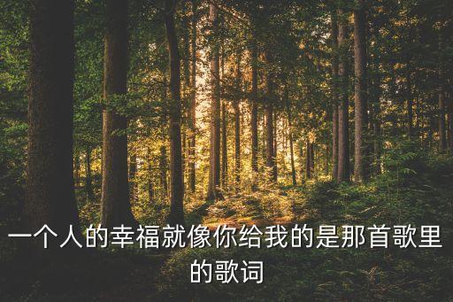 一个人的幸福就像你给我的是那首歌里的歌词
