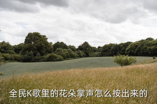 全民K歌里的花朵掌声怎么按出来的