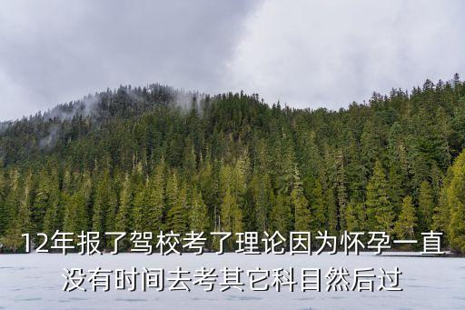 12年报了驾校考了理论因为怀孕一直没有时间去考其它科目然后过