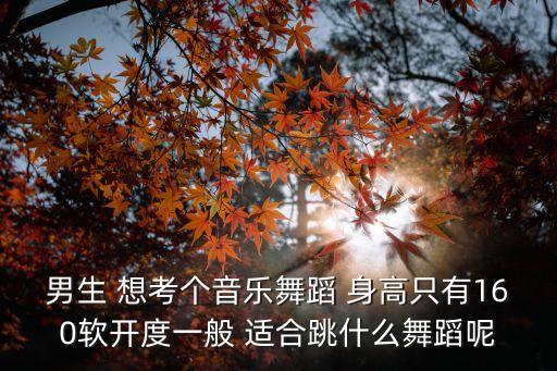 男生 想考个音乐舞蹈 身高只有160软开度一般 适合跳什么舞蹈呢