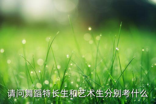 请问舞蹈特长生和艺术生分别考什么
