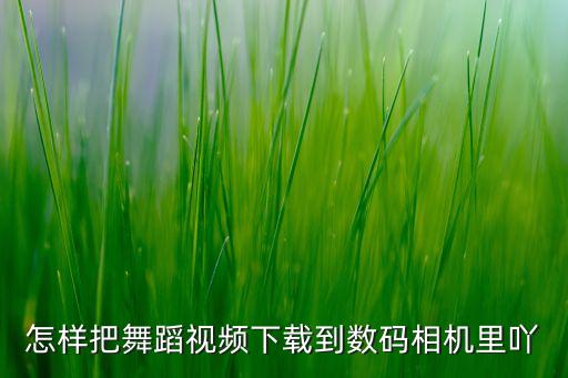 怎么拍好跳舞视频下载，怎样把舞蹈视频下载到数码相机里吖