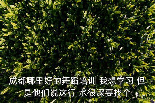 成都哪里好的舞蹈培训 我想学习 但是他们说这行 水很深要找个