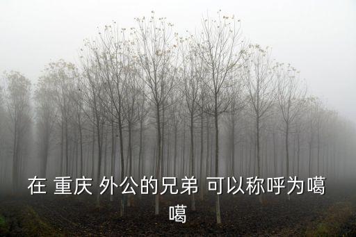 在 重庆 外公的兄弟 可以称呼为噶噶