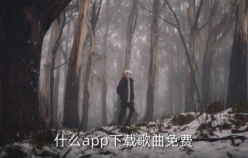 什么app下载歌曲免费