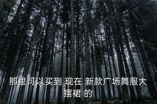 那里可以买到 现在 新款广场舞服大摆裙 的