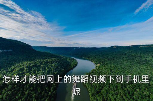 怎样才能把网上的舞蹈视频下到手机里呢