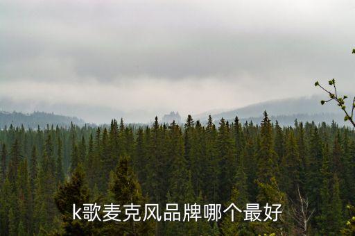 k歌麦克风品牌哪个最好