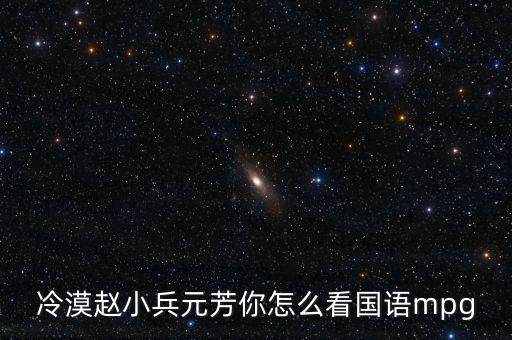 冷漠赵小兵元芳你怎么看国语mpg