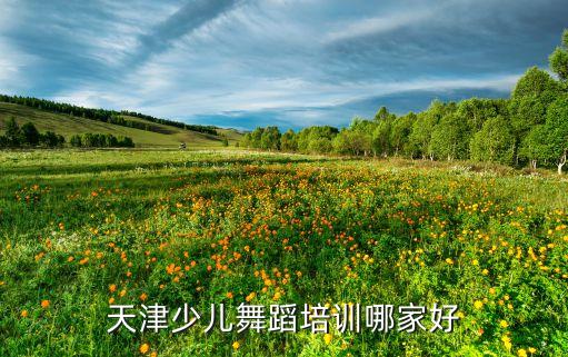 天津少儿舞蹈培训哪家好