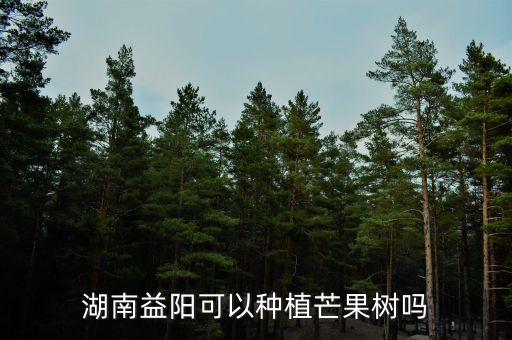 湖南益阳可以种植芒果树吗