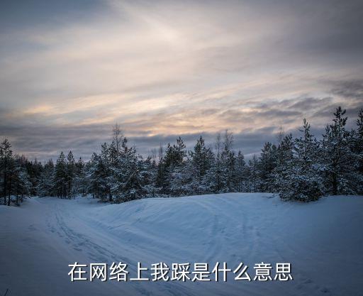 在网络上我踩是什么意思