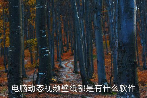 电脑动态视频壁纸都是有什么软件